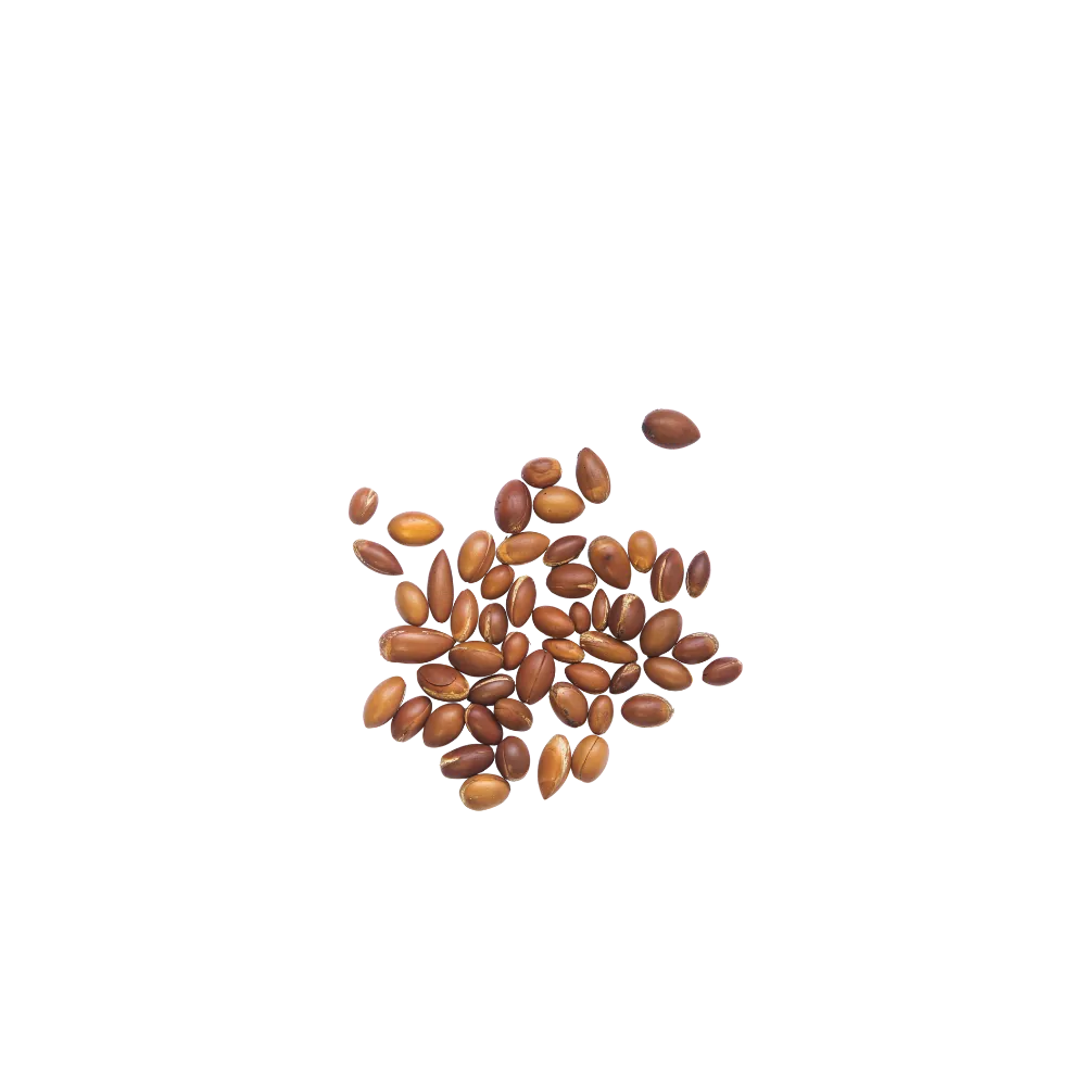 Argan